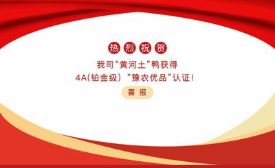 【喜報】—我司黃河土鴨獲4A(鉑金級）“豫農優(yōu)品”認證！